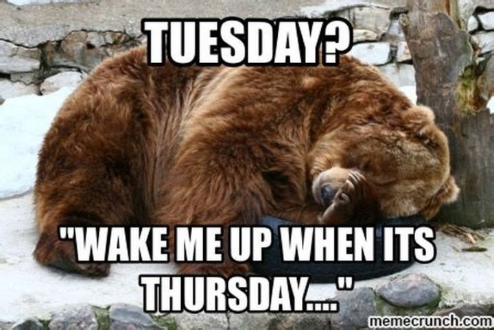"Tuesday? Wake me up with it's Thursday..."