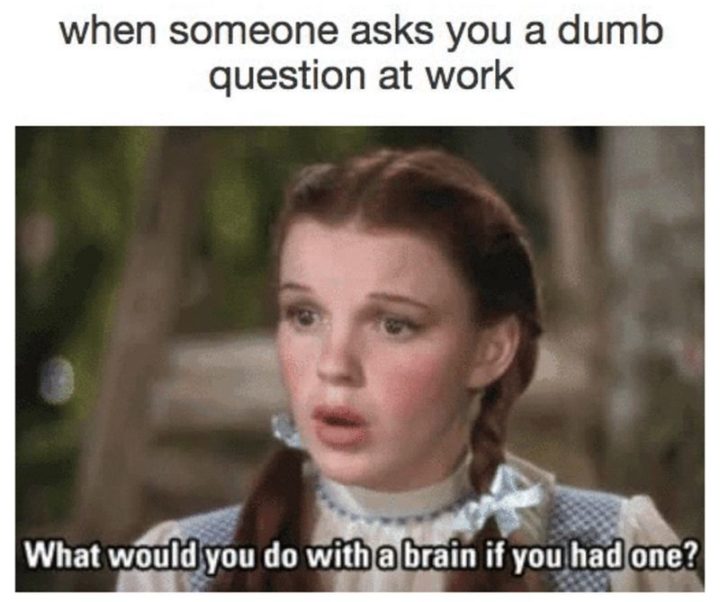 "When someone asks you a dumb question at work: What would you do with a brain if you had one?"