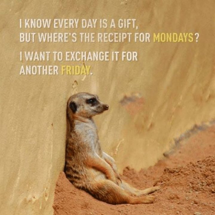 47 Funny Friday Quotes and Images For Work Days or Nights