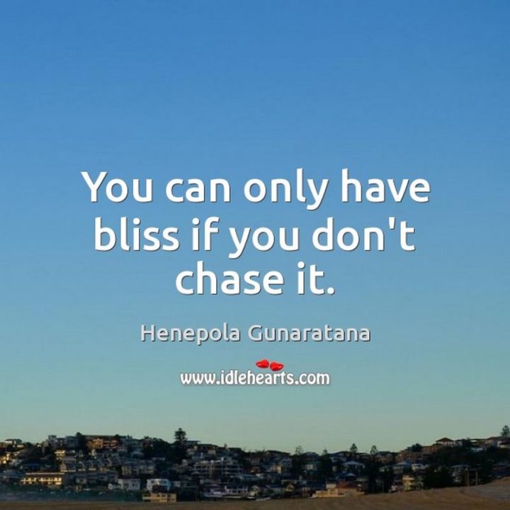 "You can only have bliss if you don’t chase it." - Henepola Gunaratana