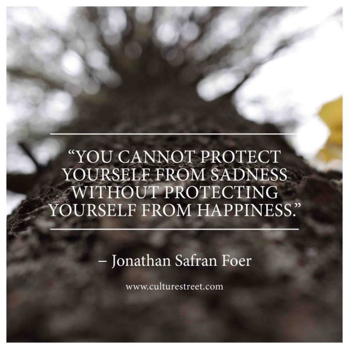 "You cannot protect yourself from sadness without protecting yourself from happiness." - Jonathan Safran Foer