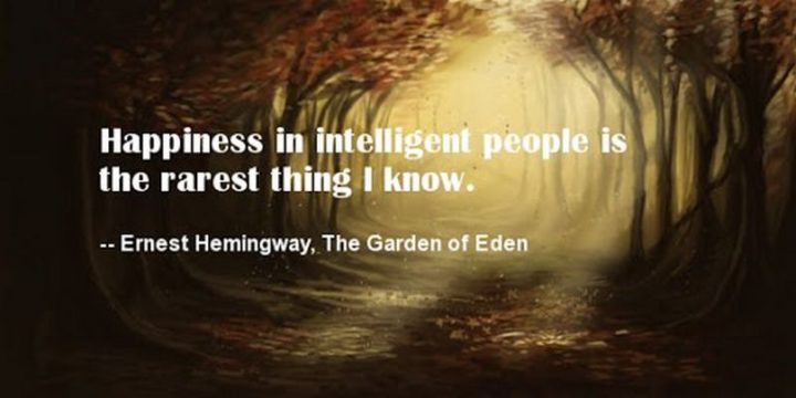 "Happiness in intelligent people is the rarest thing I know." - Ernest Hemingway