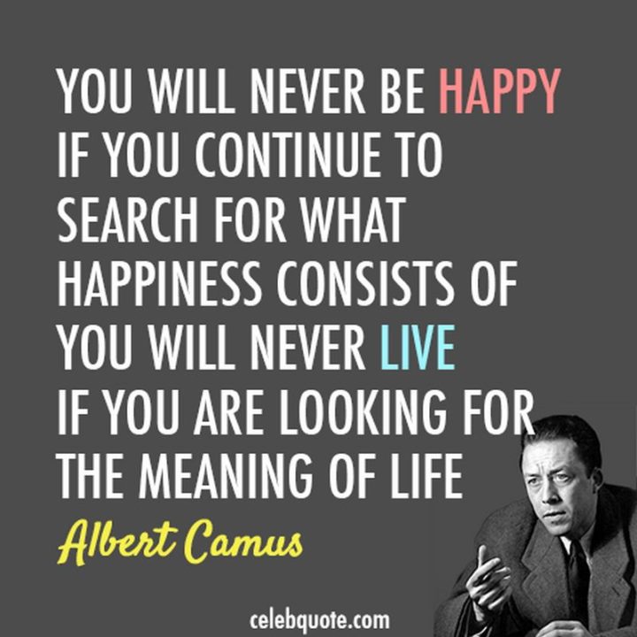 "You will never be happy if you continue to search for what happiness consists of. You will never live if you are looking for the meaning of life." - Albert Camus