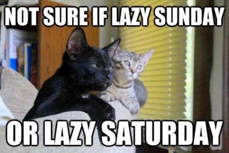 101 Funny Saturday Memes Will Make You Laugh From Morning Till Night