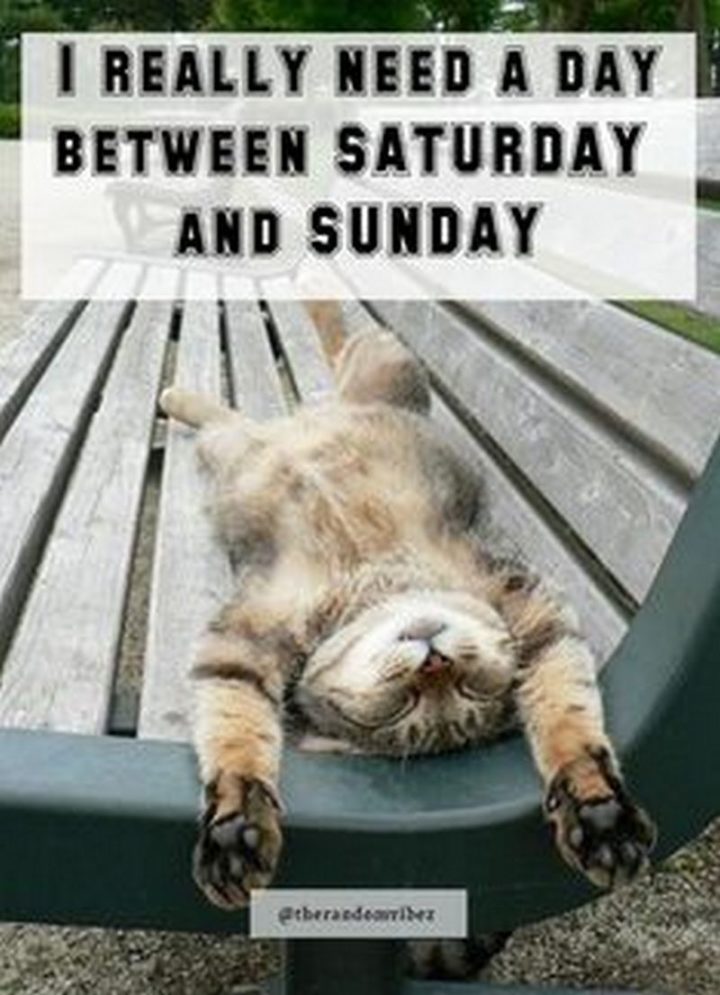 "I really need a day between Saturday and Sunday."