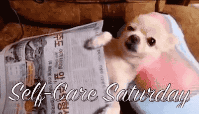 Self-care Saturday. I hope you enjoyed these Saturday memes!