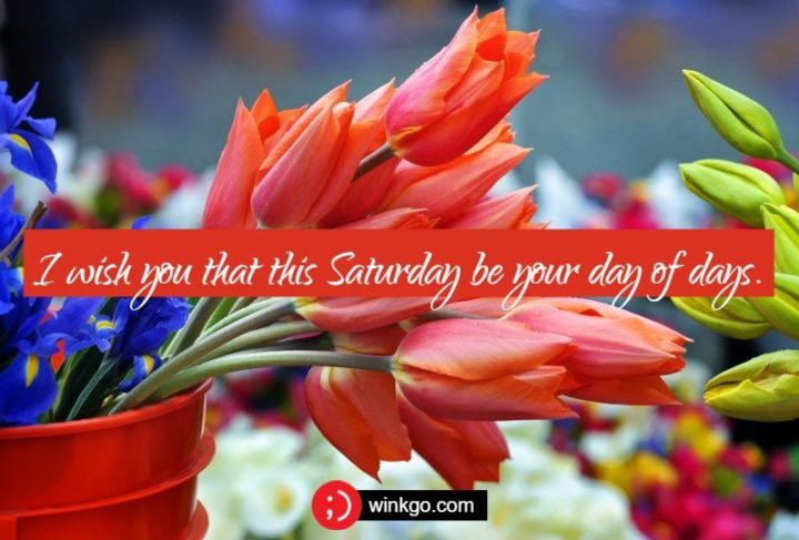 59 Citazioni sul sabato - "Ti auguro che questo sabato sia il tuo giorno dei giorni". - Sconosciuto"I wish you that this Saturday be your day of days." - Unknown
