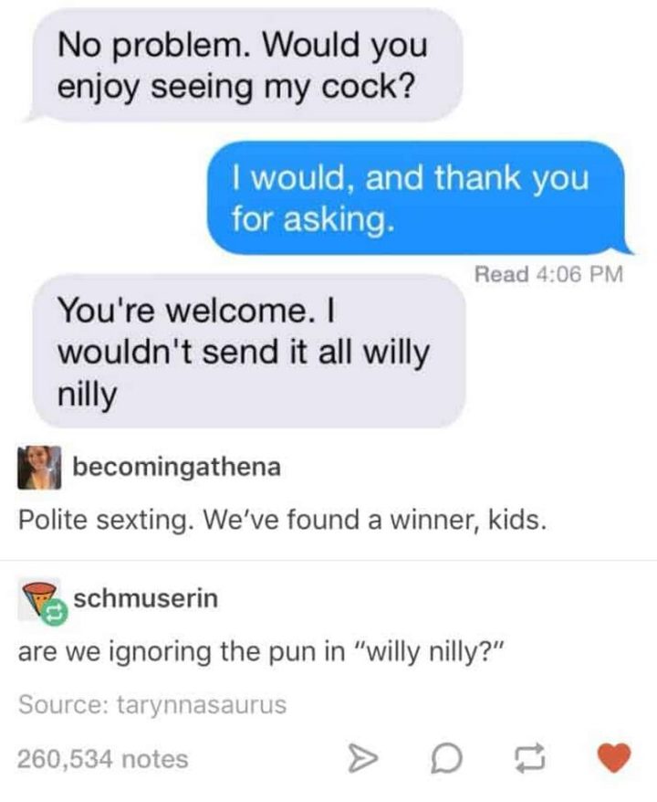 "No problem. Would you enjoy seeing my [censored]? I would, and thank you for asking. You're welcome. I wouldn't send it all willy nilly. Polite sexting. We've found a winner, kids. Are we ignoring the pun in 'willy nilly?'"