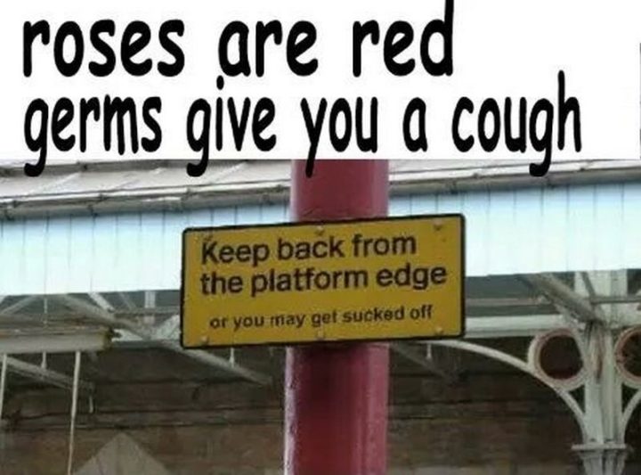 "Roses are red germs give you a cough. Keep back from the platform edge or you may get sucked off."