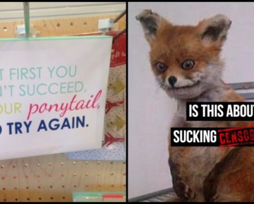 79 Funny Sex Memes With Generous Amounts of Dirty and Sexy