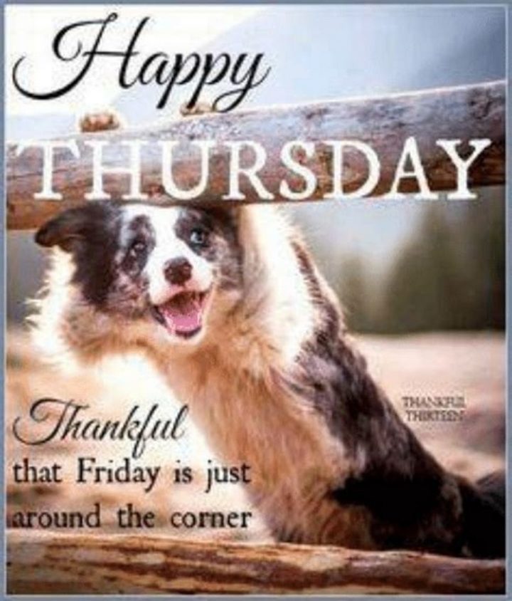 101 Thursday Memes - "Happy Thursday. Thankful that Friday is just around the corner."