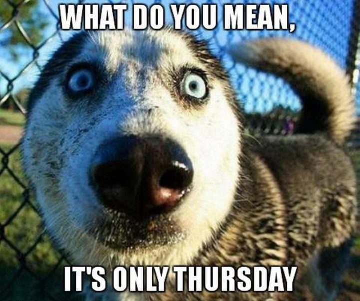 101 Thursday Memes - "What do you mean, it's only Thursday."