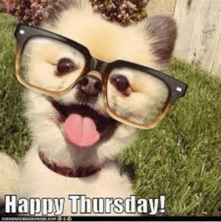 101 Thursday Memes - "Happy Thursday!"