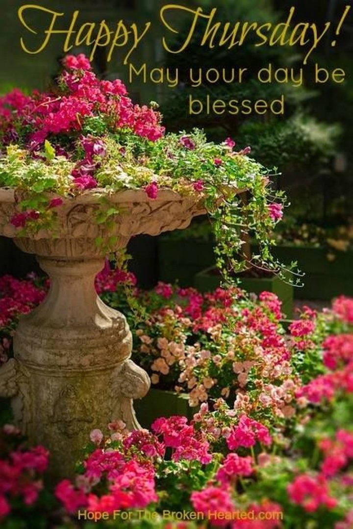 "Happy Thursday! May your day be blessed."
