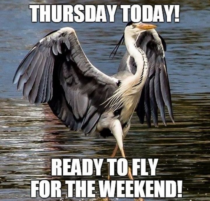 "Thursday today! Ready to fly for the weekend!"