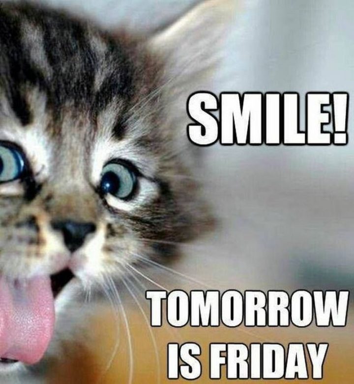 "Smile! Tomorrow is Friday."