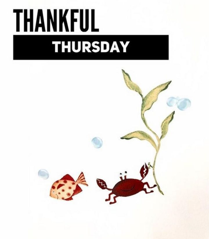 "Thankful Thursday."