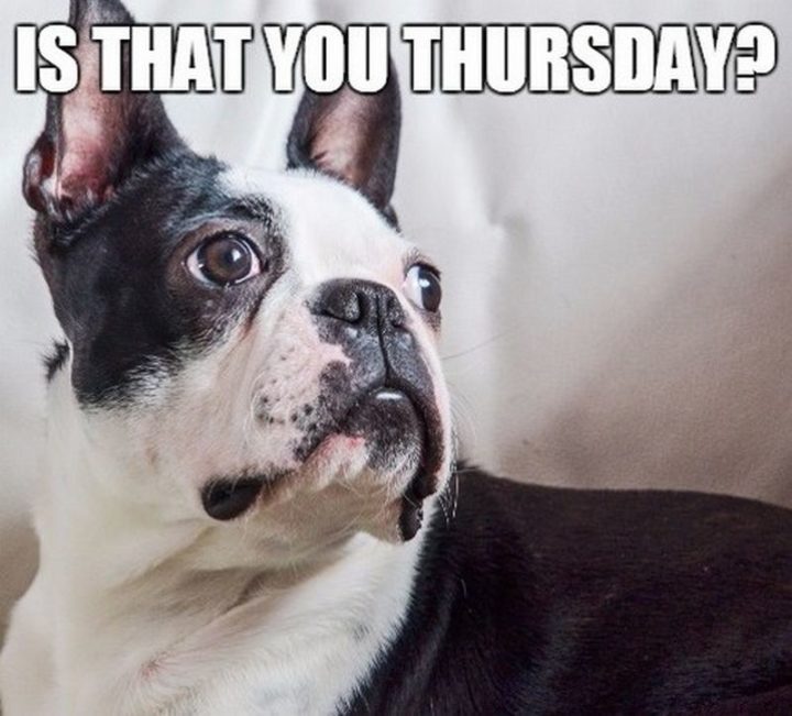 "Is that you Thursday?"
