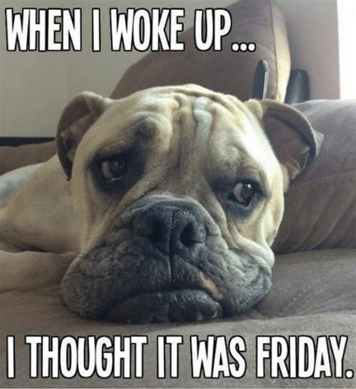 "When I woke up...I thought it was Friday."
