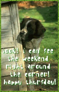 Look! I can see the weekend right around the corner! Happy Thursday! I hope you enjoyed these Thursday memes!