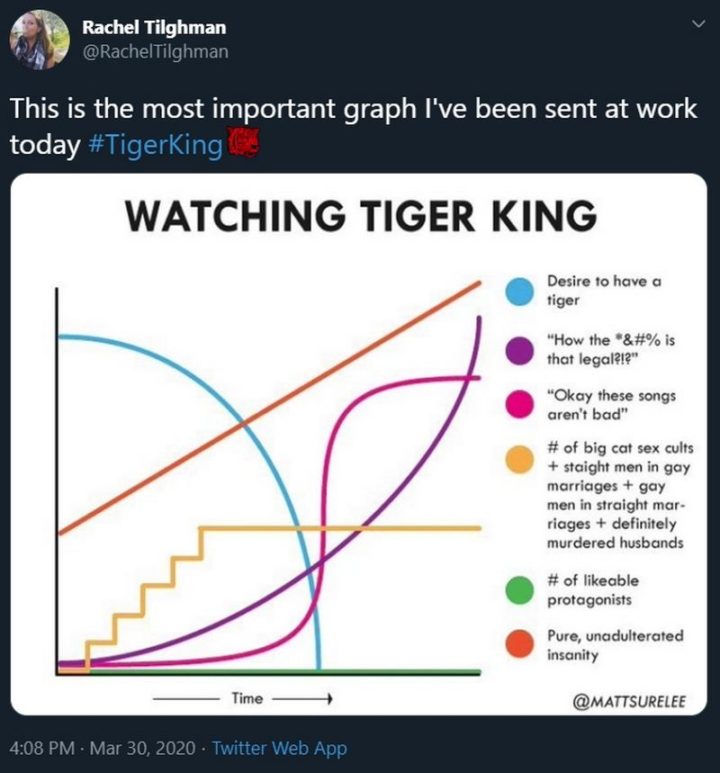 "This is the most important graph I've been sent at work today: Watching Tiger King. Desire to have a tiger. How the *&#% is that legal!?!? Okay, these songs aren't bad. # of big cat sex cults + straight men in gay marriages + gay men in straight marriages + definitely murdered husbands. # of likable protagonists. Pure, unadulterated insanity."