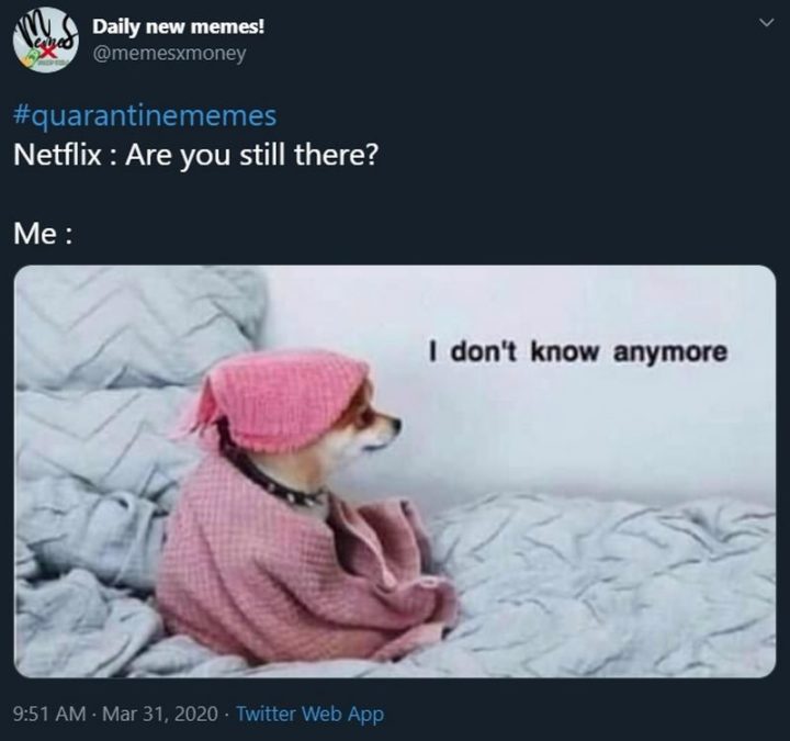 "Quarantine Memes - Netflix: Are you still there? Me: I don't know anymore." 