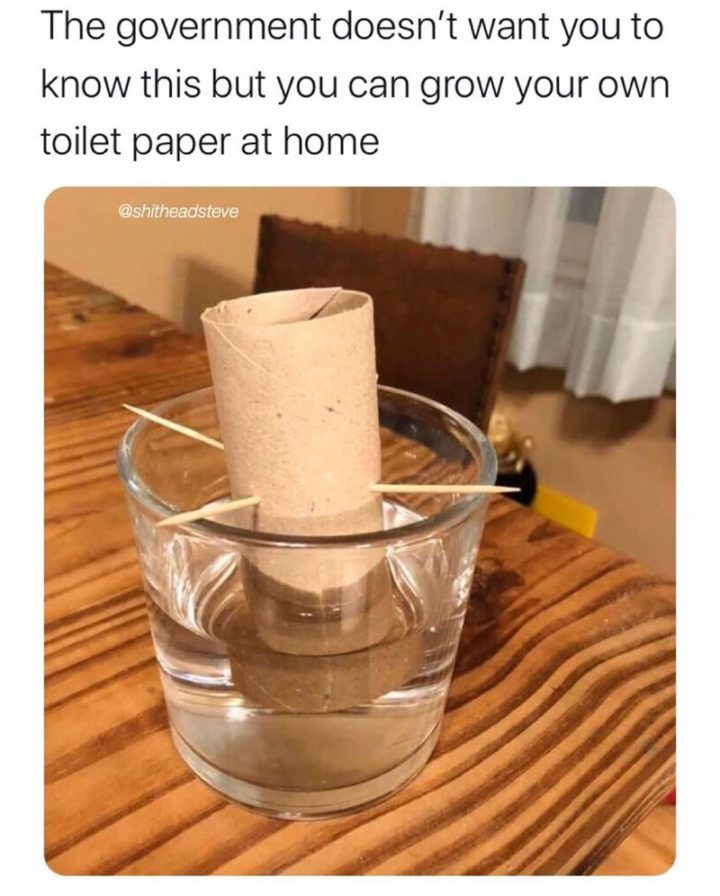 "The government doesn't want you to know this, but you can grow your own toilet paper at home."