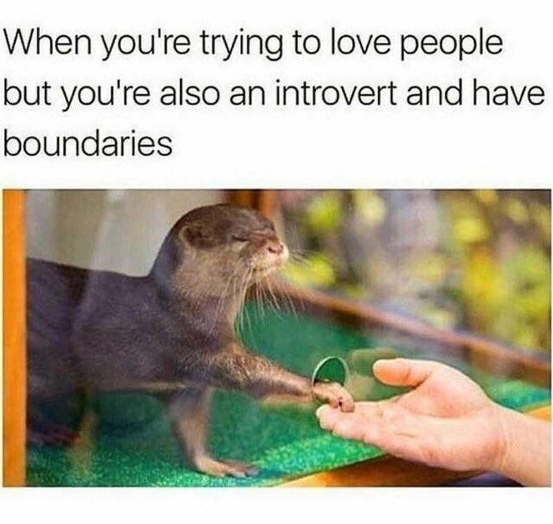 introvert-memes-61.jpg