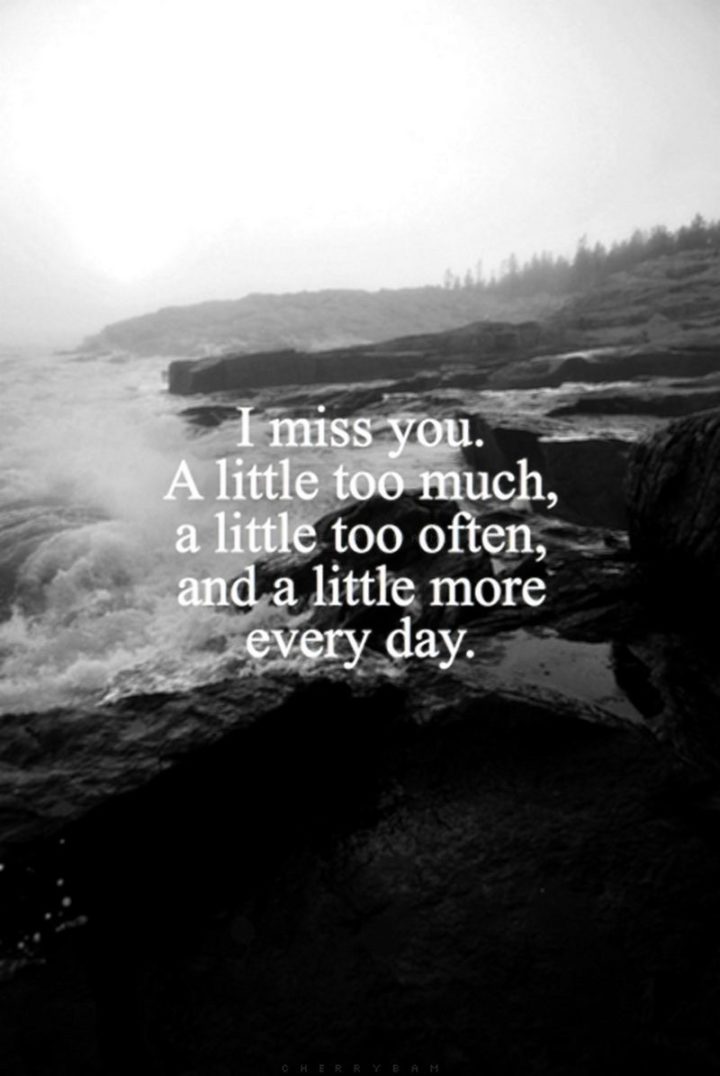 "I miss you a little too much, a little too often, and a little more each and every day." - Unknown