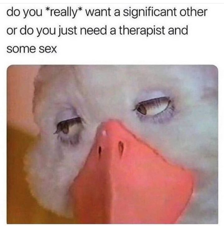 53 Sad Memes - "Do you *really* want a significant other or do you just need a therapist and some sex."