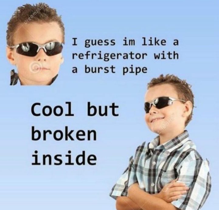53 Sad Memes - "I guess I'm like a refrigerator with a burst pipe. Cool but broken inside."