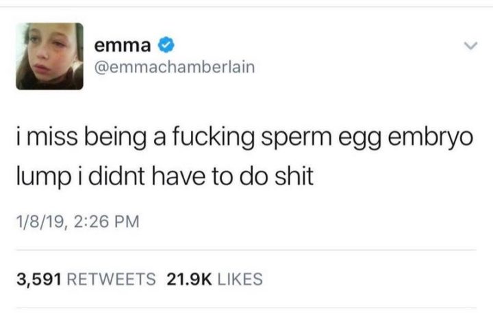"I miss being a [censored] sperm-egg embryo lump I didn't have to do $#!t."