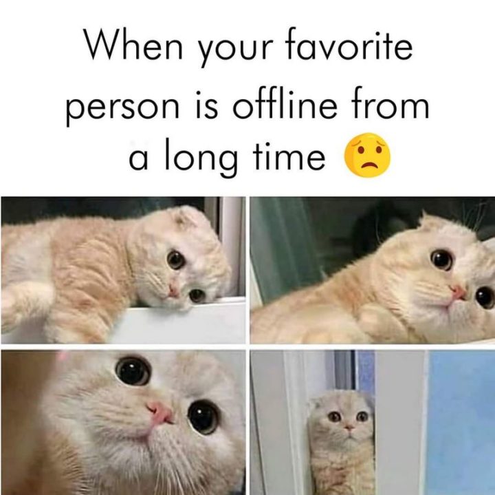 "When your favorite person is offline for a long time."