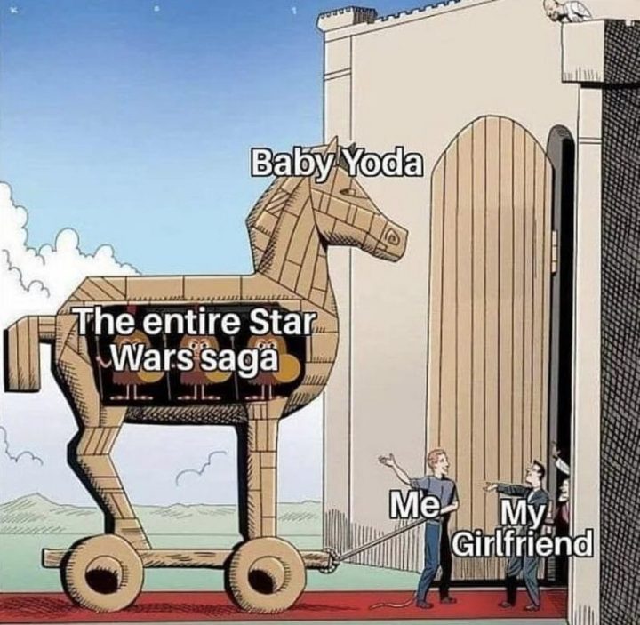 61 Star Wars Memes - "Baby Yoda. The entire Star Wars saga. Me. My girlfriend."