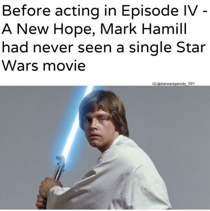 61 Star Wars Memes - "Before acting in Episode IV - A New Hope, Mark Hamill had never seen a single Star Wars movie."