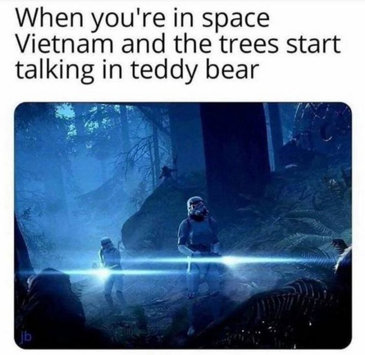 "When you're in space Vietnam and the trees start talking in 'teddy bear'."