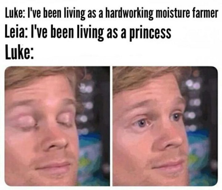 "Luke: I've been living as a hardworking moisture farmer. Leia: I've been living as a princess. Luke:"