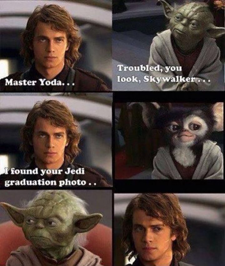 "Master Yoda...Troubled, you look, Skywalker...I found your Jedi graduation photo..."