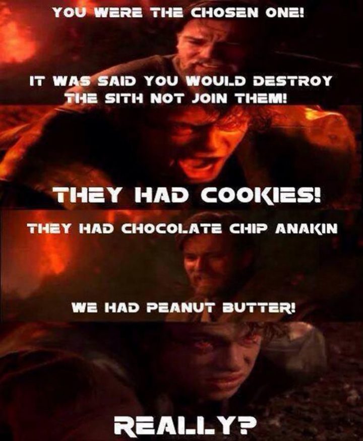 "You were the chosen one! It was said you would destroy the Sith not join them! They had cookies! They had chocolate chip Anakin. We had peanut butter! Really?"