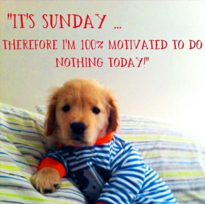 Relax with Sunday morning quotes - "It’s Sunday, therefore I am 100% motivated to do nothing today!" - Unknown