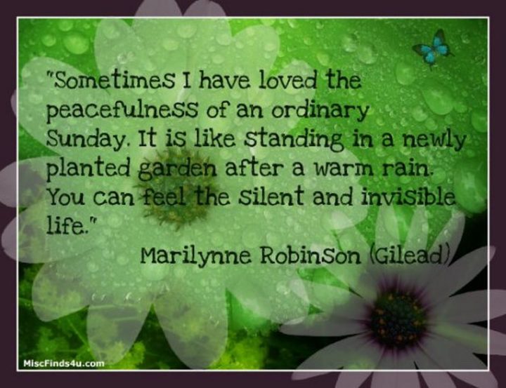 "Sometimes I have loved the peacefulness of an ordinary Sunday. It is like standing in a newly planted garden after a warm rain. You can feel the silent and invisible life." - Marilynne Robinson