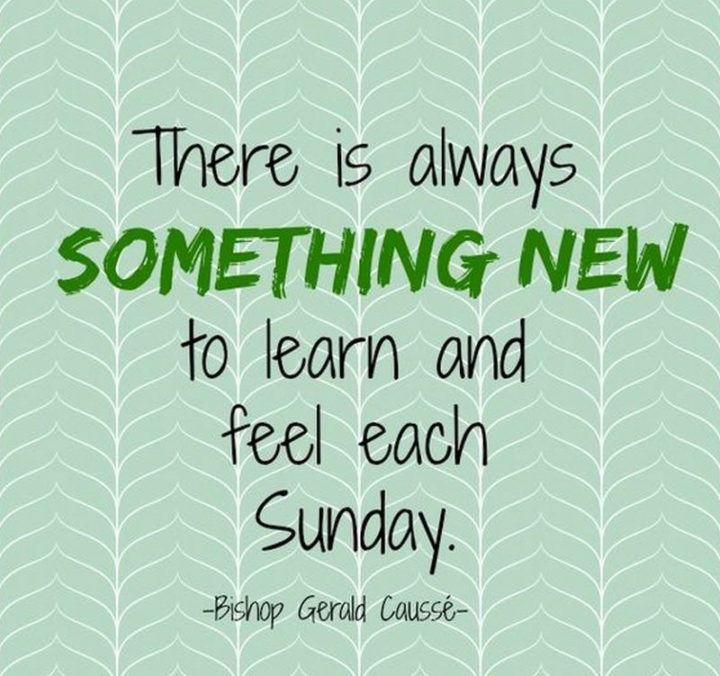 "There is always something new to learn and feel each day." - Bishop Gérald Caussé
