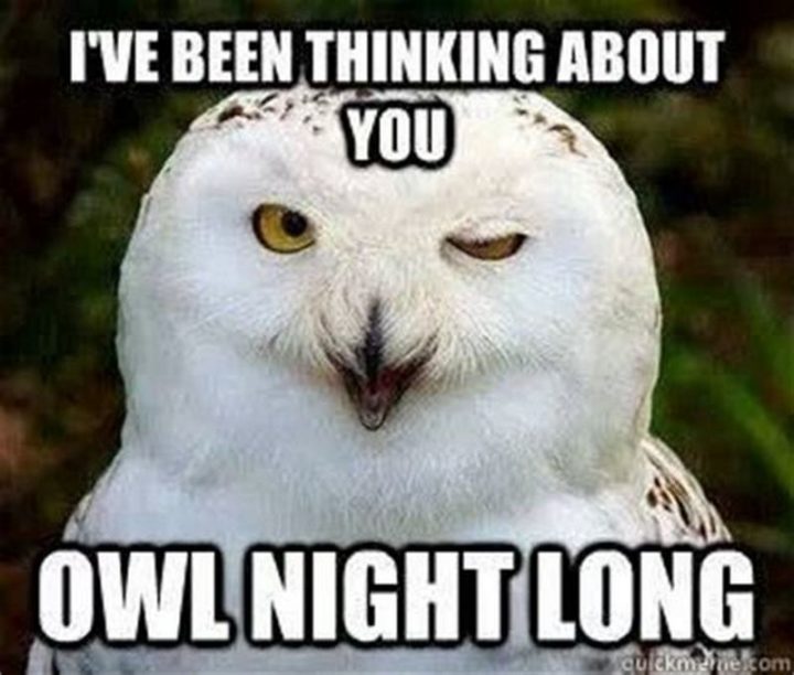 "I've been thinking about you owl night long." 