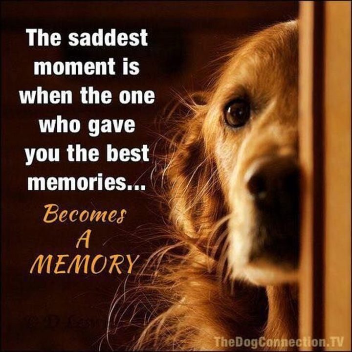 "The saddest moment is when the one who gave you the best memories...Becomes a memory."