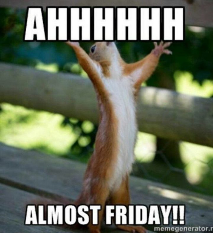 "Ahhhhhh, almost Friday!!"