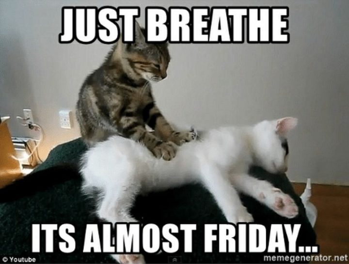 "Just breathe, it's almost Friday. 
