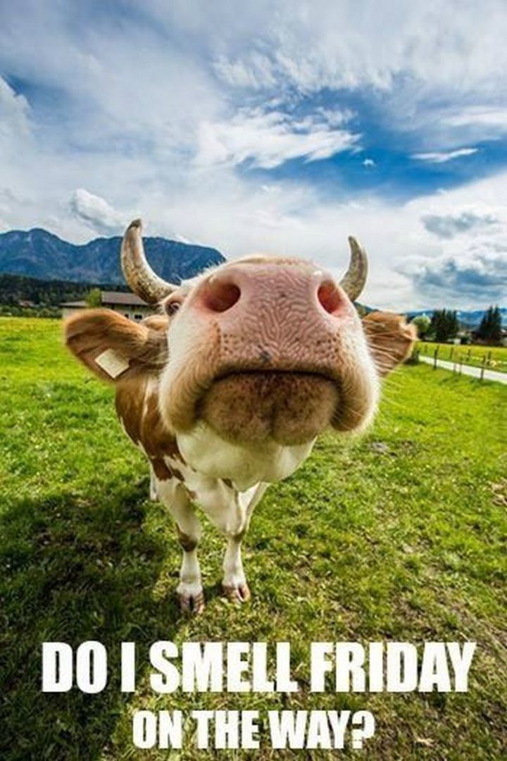 "Do I smell Friday on the way?"