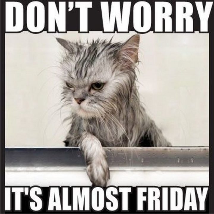 "Don't worry, it's almost Friday."