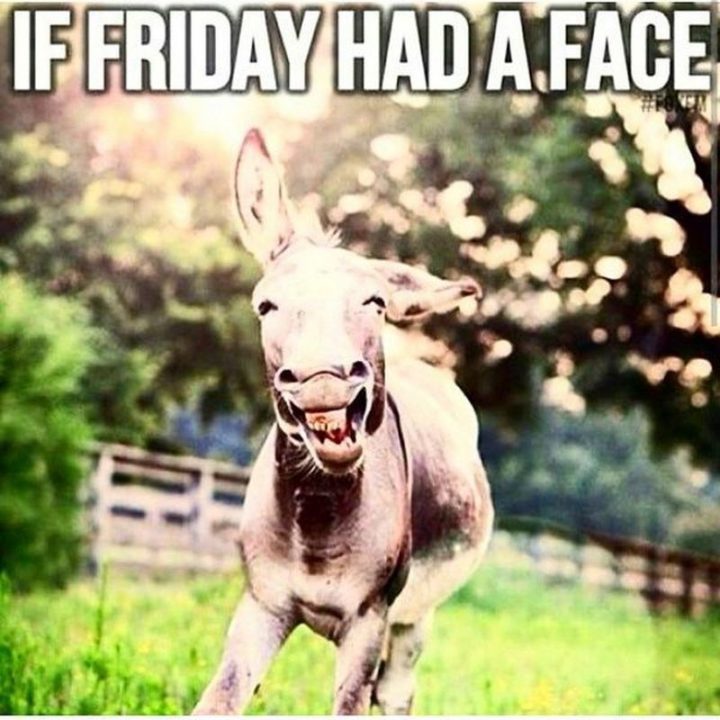 "If Friday had a face."