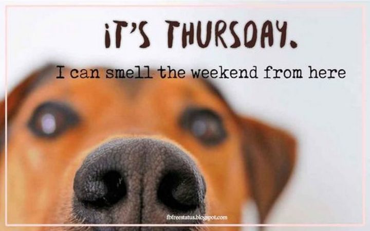 "It's Thursday. I can smell the weekend from here."